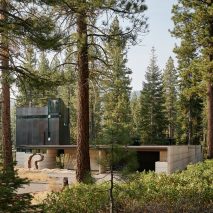 Concrete and steel buildings through the trees
