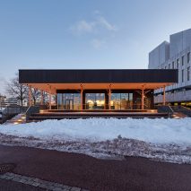 Little Finlandia is supported by trees