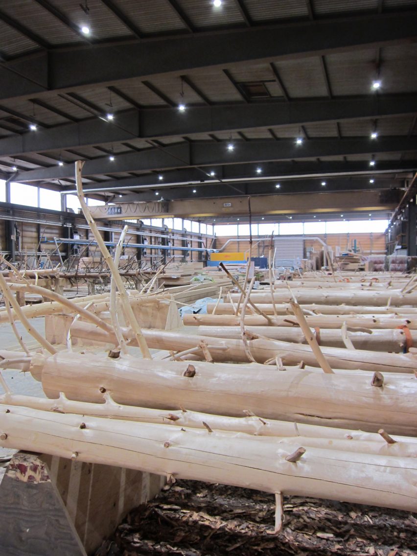 Trees in warehouse