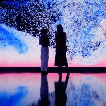 Maxim Zhestkov creates digital “motion sculptures” with algorithms informed by physics