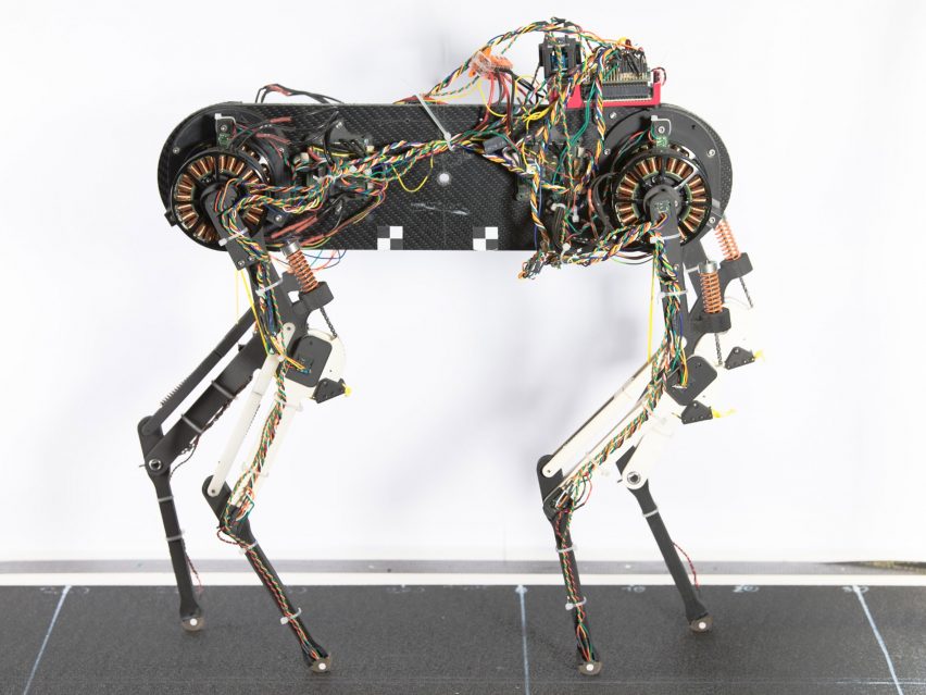 A robot dog on a treadmill