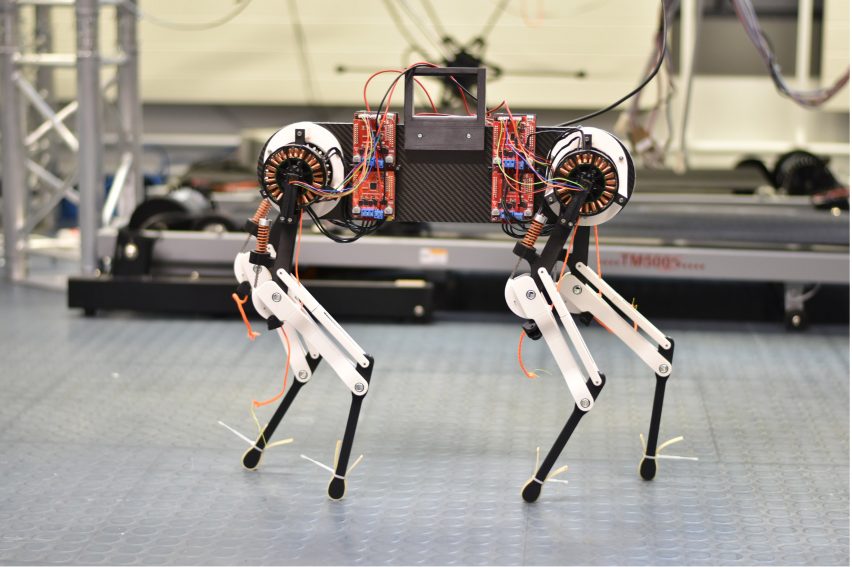 A robot dog called Morti