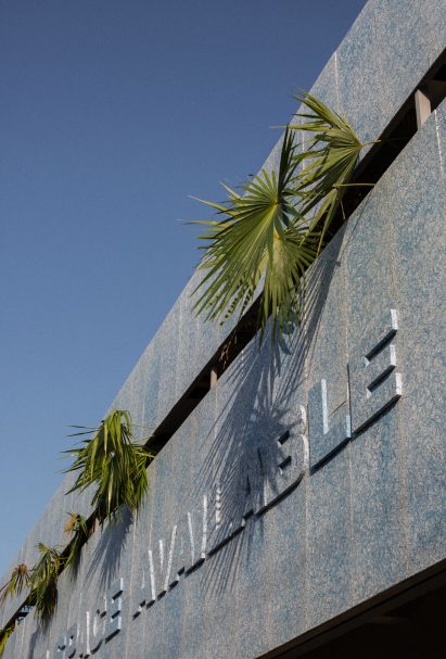 Photo of palm leaves poking through the building facade