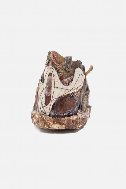 Biomaterial shoe