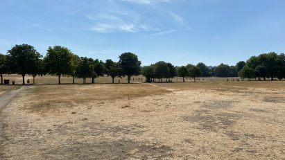 Peckham Rye Park following heatwaves