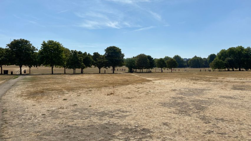 Peckham Rye Park following heatwaves