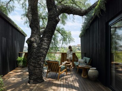 Terrace around large pepper tree