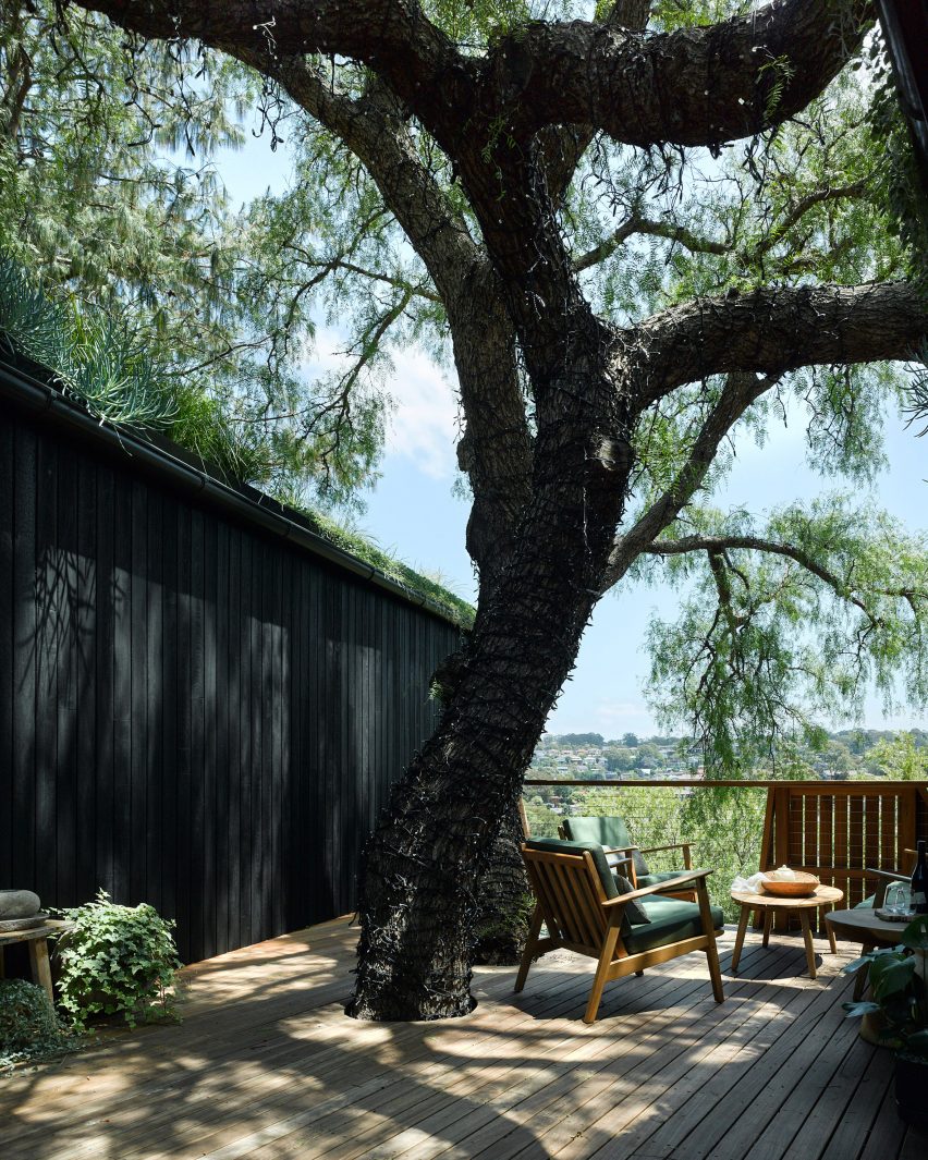 Exterior of Pepper Tree Passive House by Alexander Symes