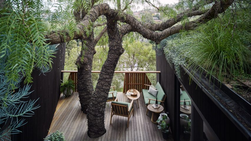 Terrace of Pepper Tree Passive House by Alexander Symes