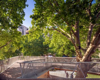Viewing platform around a plane tree