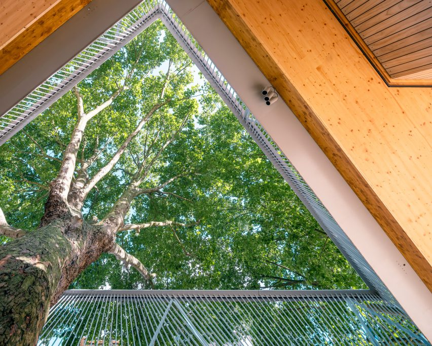Exterior of The Tree House by Bell Phillips