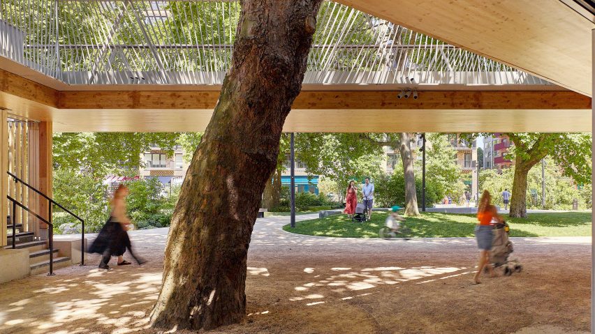 Plane tree trunk through the centre of The Tree House in London