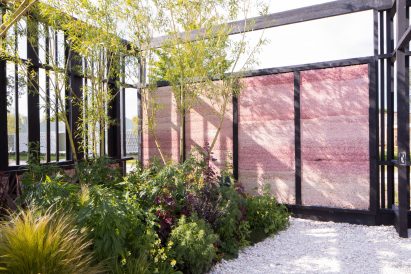 Greenery beside pink hempcrete wall