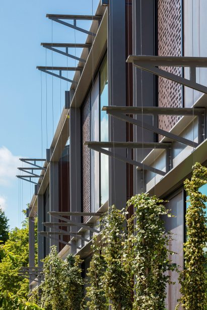 Facade with protruding steel beams and climbing plants