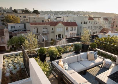 Roof terrace plants