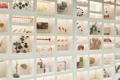 A number of specimens curated in 72 windows
