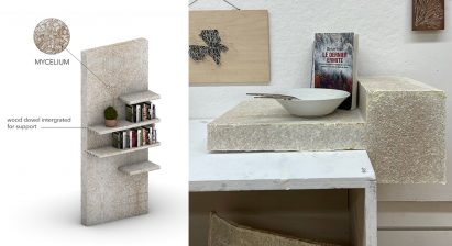 Mycelium shelves