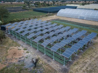 Agrivoltaic solar farm from Harvesting the Sun Twice project in Kenya, photographed by Chloride Exide