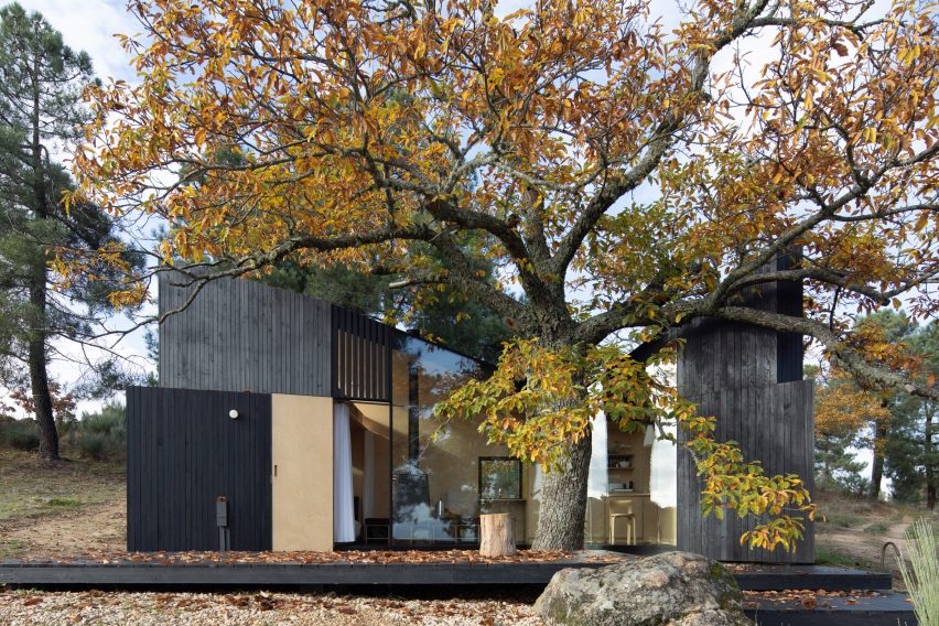 Exterior of Chestnut House by João Mendes Ribeiro