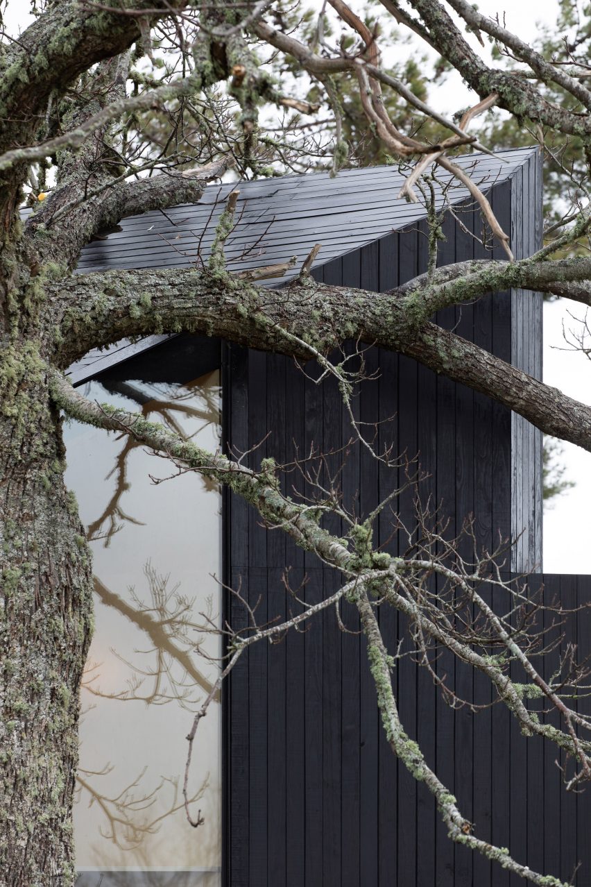 Exterior of Chestnut House by João Mendes Ribeiro