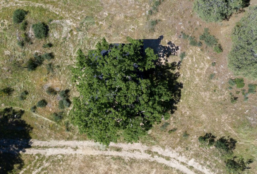 Aerial of Chestnut House by João Mendes Ribeiro