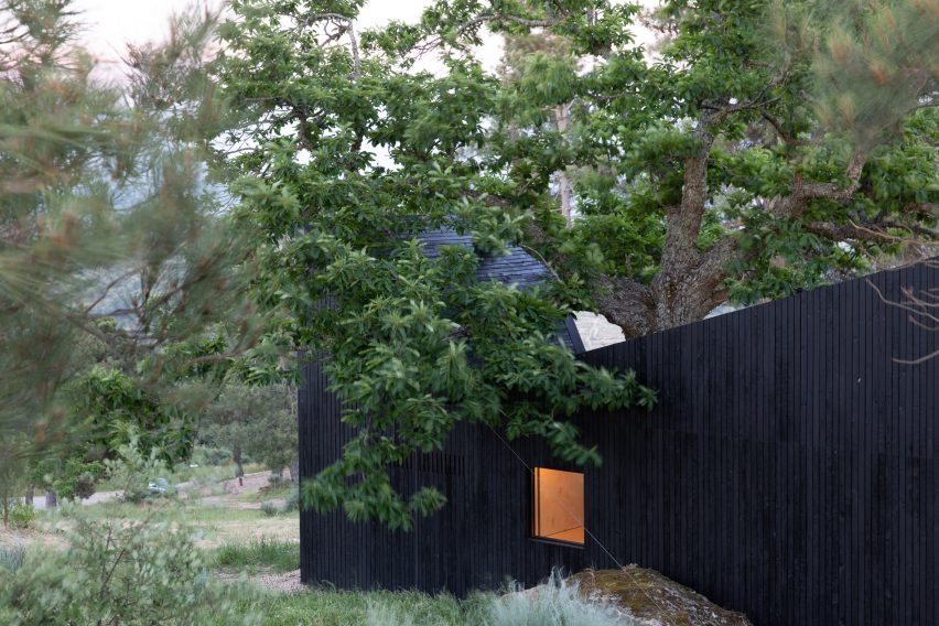 Exterior of Chestnut House by João Mendes Ribeiro