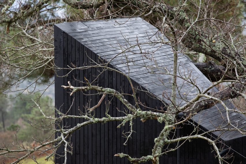 Exterior of Chestnut House by João Mendes Ribeiro
