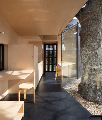 Plywood-lined interior of home by João Mendes Ribeiro