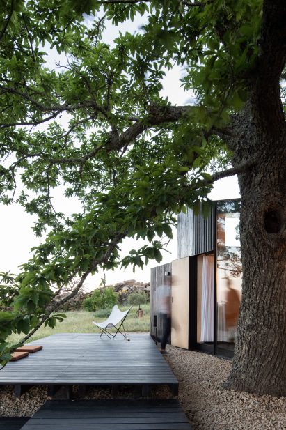 Decked terrace of Chestnut House by João Mendes Ribeiro