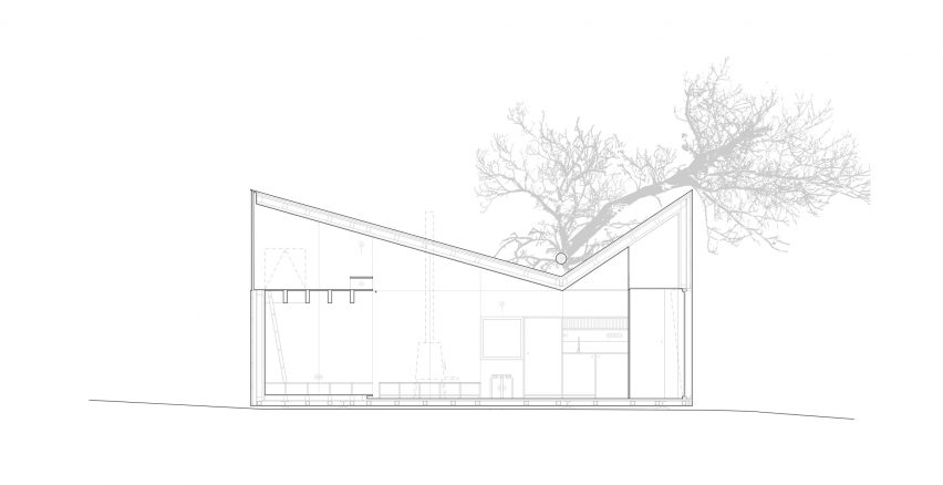 Section of Chestnut House by João Mendes Ribeiro