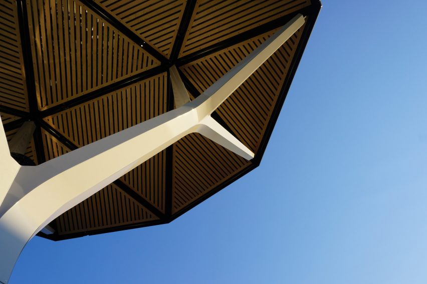 Solar Forma prototype of Ecacia by Samuel Wilkinson