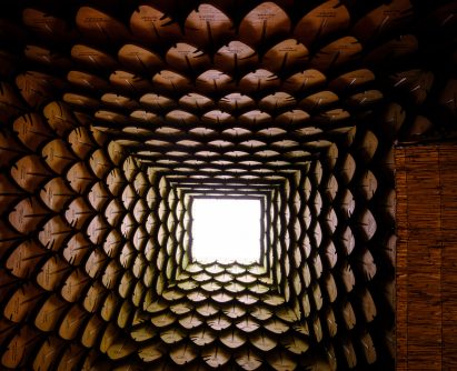 Birch-plywood cladding inside the False Banana Pavilion at Kew Wakehurst