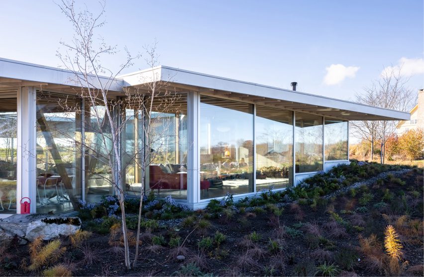 Flower House by NO Architecture