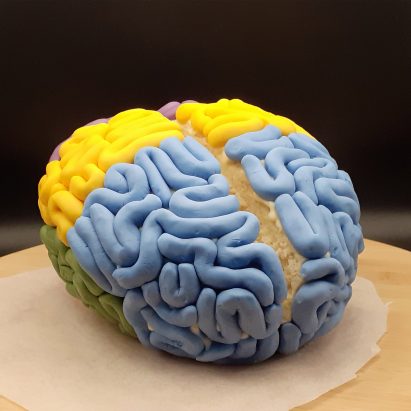 Yellow and blue brain made out of cake