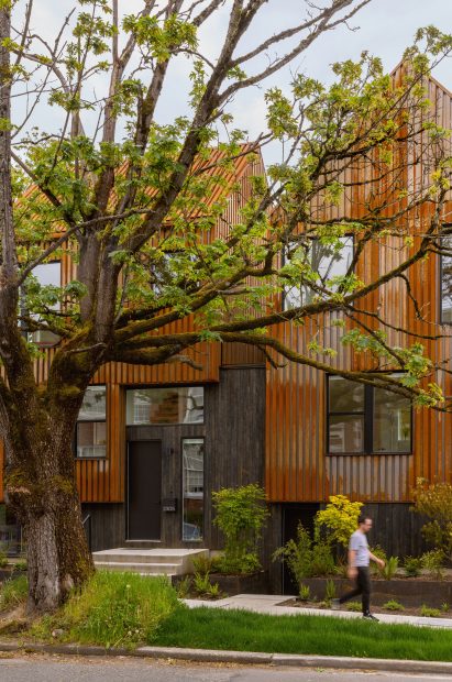 Oak & Alder