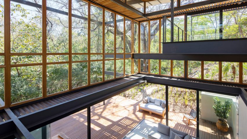 Jungle Frame