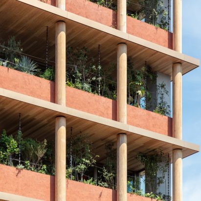 Nori Architects adds cedar-log columns to renovated Japanese office