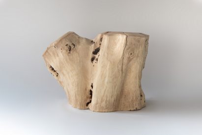 Photograph showing a piece of forked timber