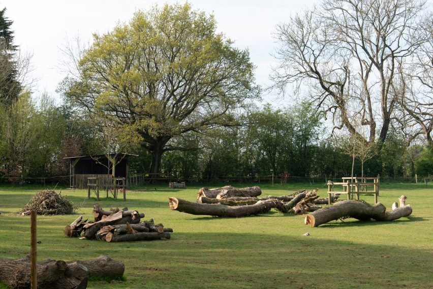 Photograph showing field with piles of timber laid out in sections