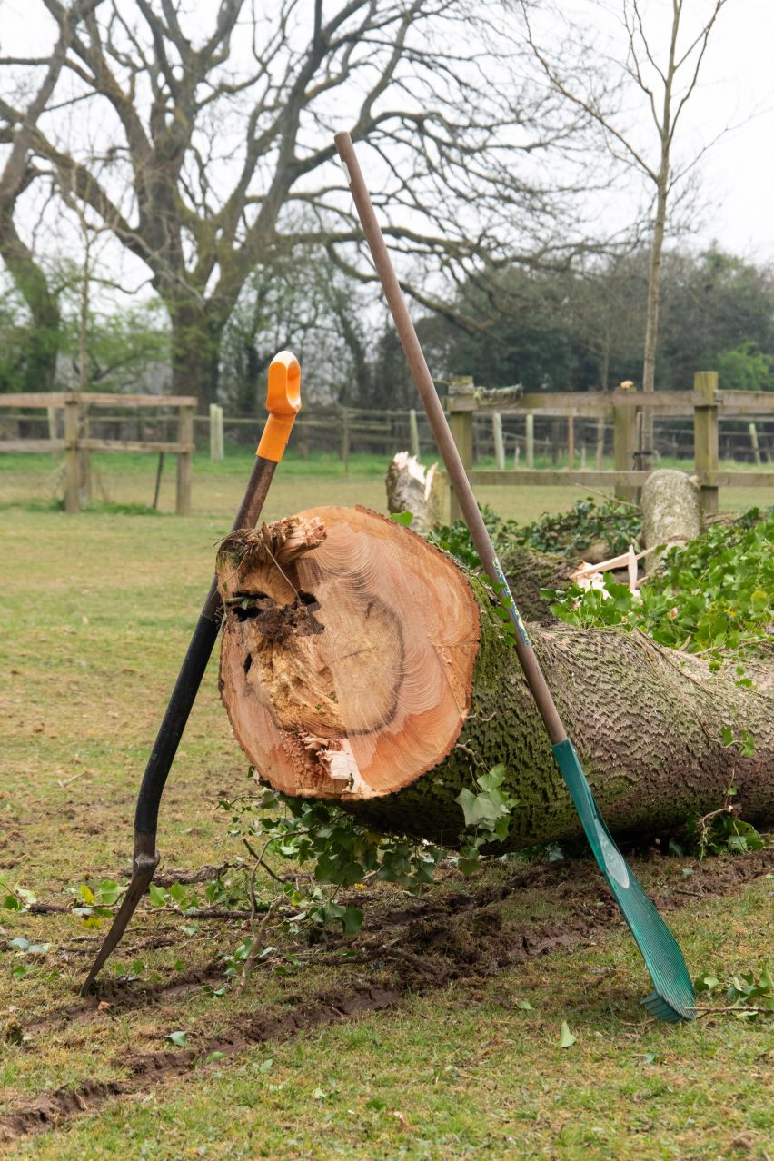 Photograph showing tree trunk with tools propped against it