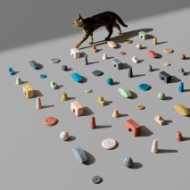 A cat walking between colourful tiles