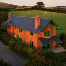“Paint out that green” says commenter