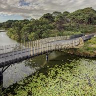 Aerial view of Bara Bridge by Sam Crawford Architects