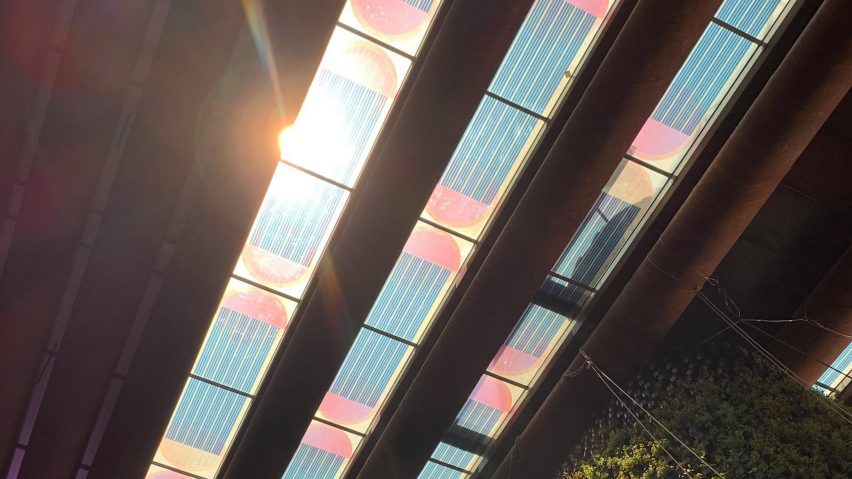 Roof of Dutch Biotope by Marjan van Aubel