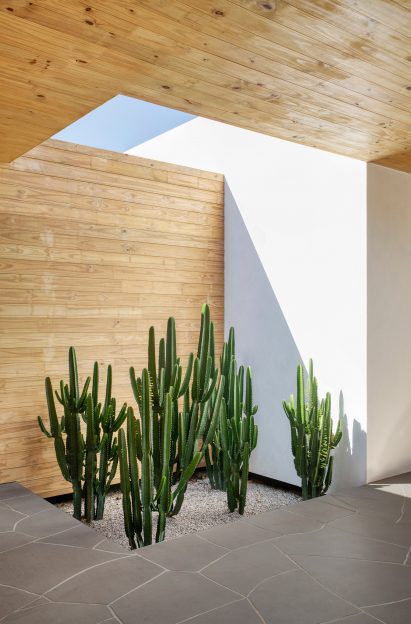 Timber wall and ceilings on white building with cacti