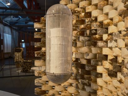 Mycelium bricks and vessel containing growing mushrooms