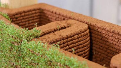 Image of seed-impregnated soil
