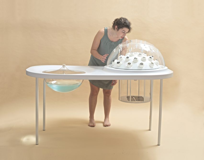 Fungi Mutarium by LIVIN Studio