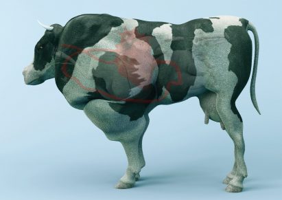 The Cow of Tomorrow by Paul Gong
