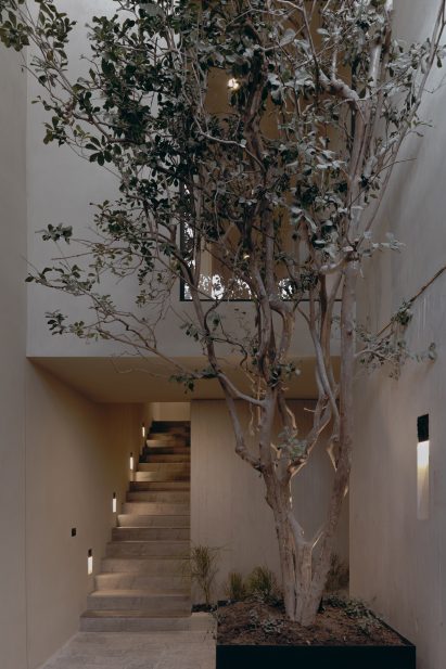 Tree in house